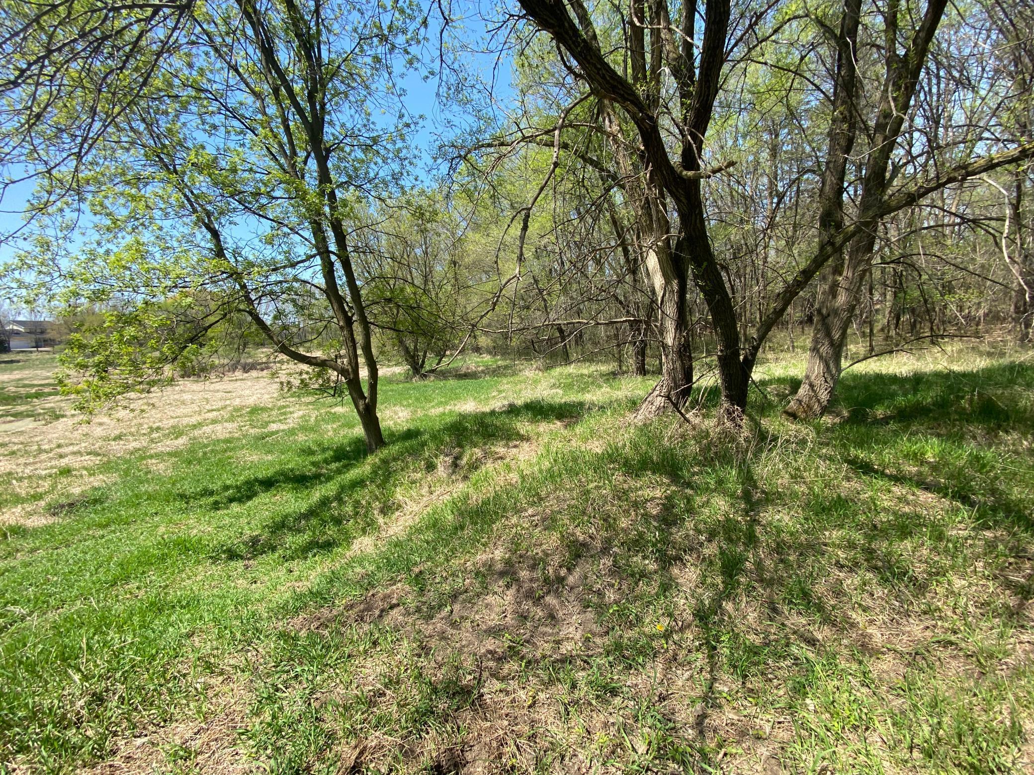20072 Lander Street Northwest Elk River, MN 55330 - Photo 9 of 29