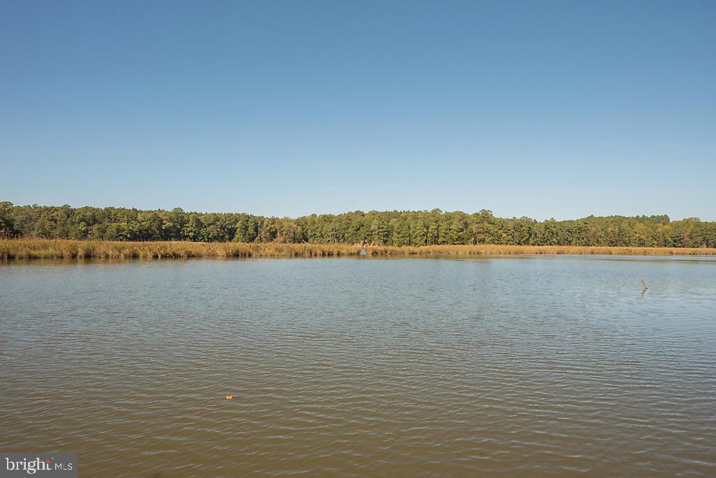 246 Edgewater Lane Lancaster, VA 22503 - Photo 2 of 50