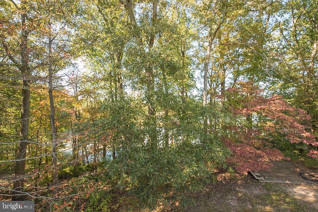 246 Edgewater Lane Lancaster, VA 22503 - Photo 31 of 50