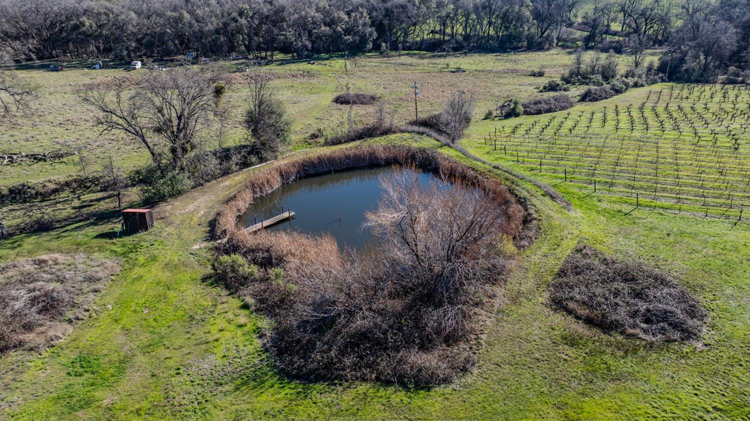 22707 Upton Road Plymouth, CA 95669 - Photo 96 of 99 Gallery Image 96