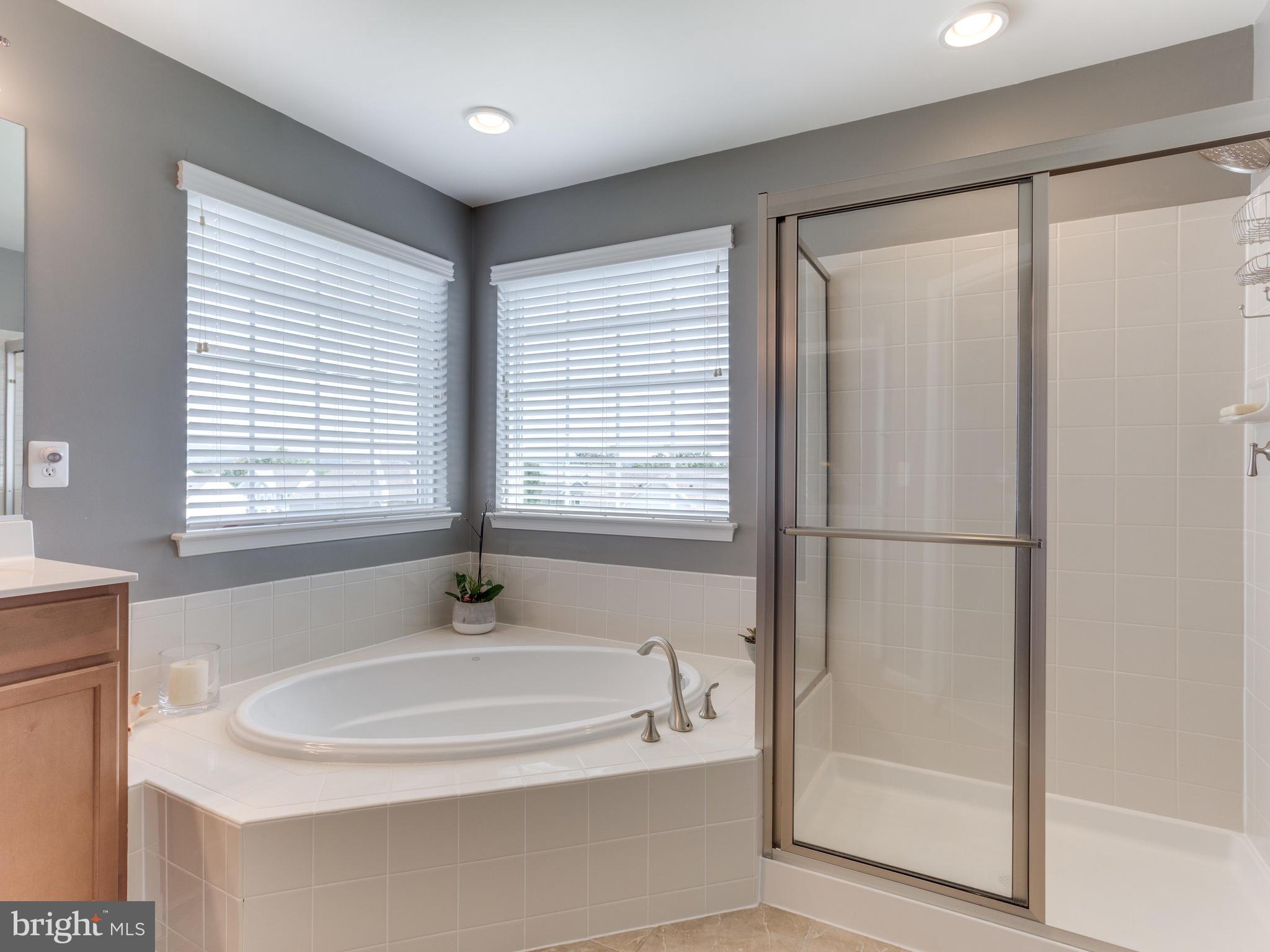 43146 Rocks Way Leesburg, VA 20176 - Photo 19 of 30 Luxury Bath with Corner Tub, Separate Shower