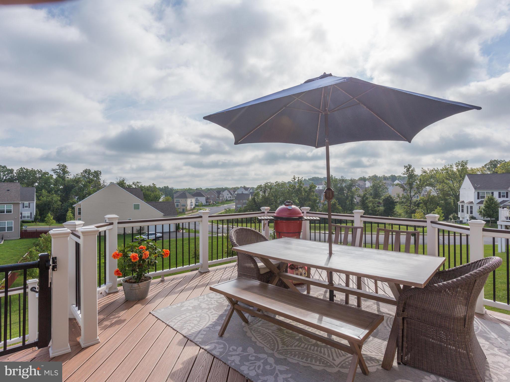 43146 Rocks Way Leesburg, VA 20176 - Photo 6 of 30 Trex Tiki Torch Flr, Trex Vintage Lantern Railing
