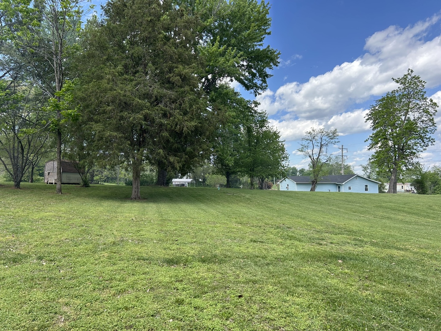 1 Bushwack Road Golconda, IL 62938 - Photo 36 of 38 a view of a field with trees