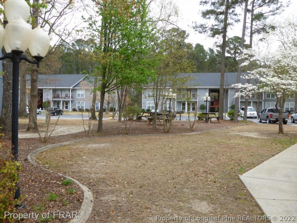 1813 Sardonyx Road Fayetteville, NC 28303 - Photo 23 of 25 a row of palm trees in front of building
