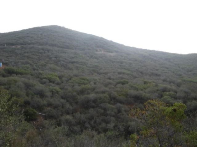 Aspen Road Fallbrook, CA 92028 - Photo 1 of 1 a view of a dry yard with mountains in the background