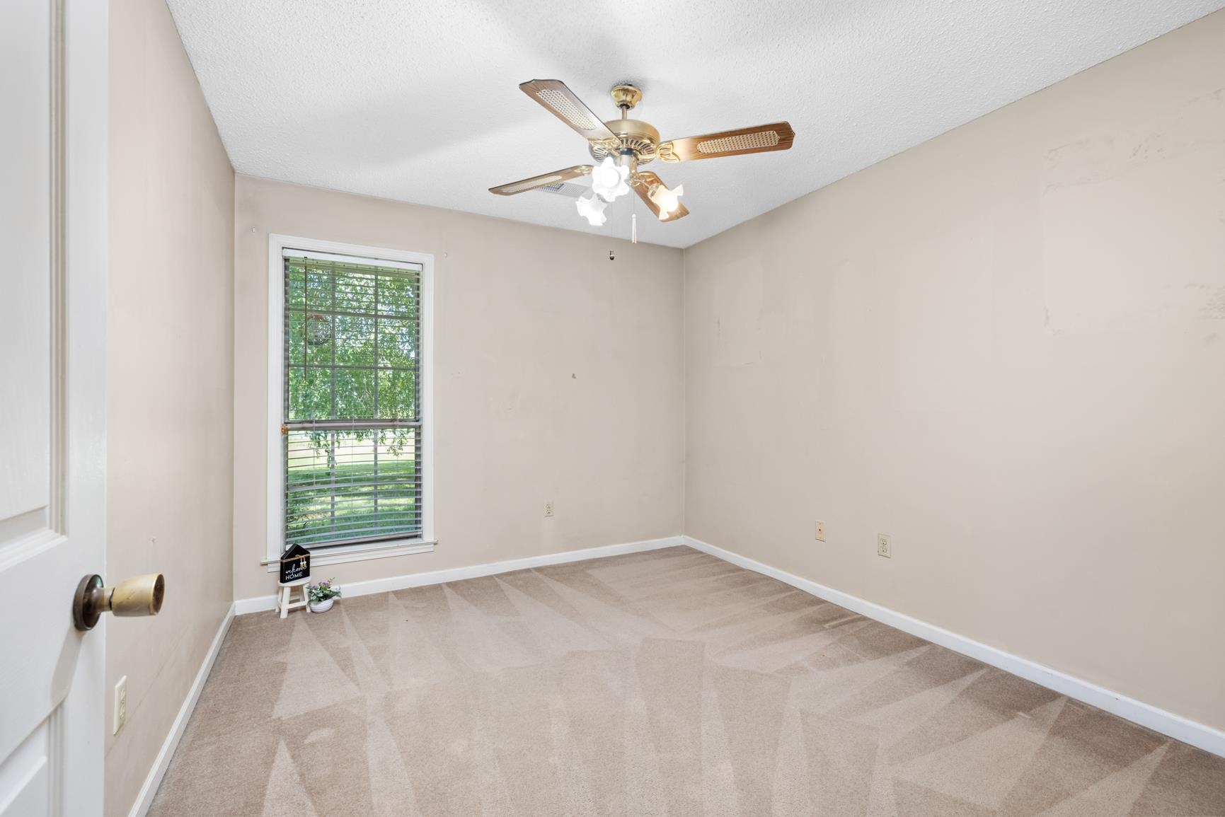 5015 Eagles Nest Lane Bartlett, TN 38002 - Photo 19 of 39 Spare room with light colored carpet, a ceiling fan, and a textured ceiling