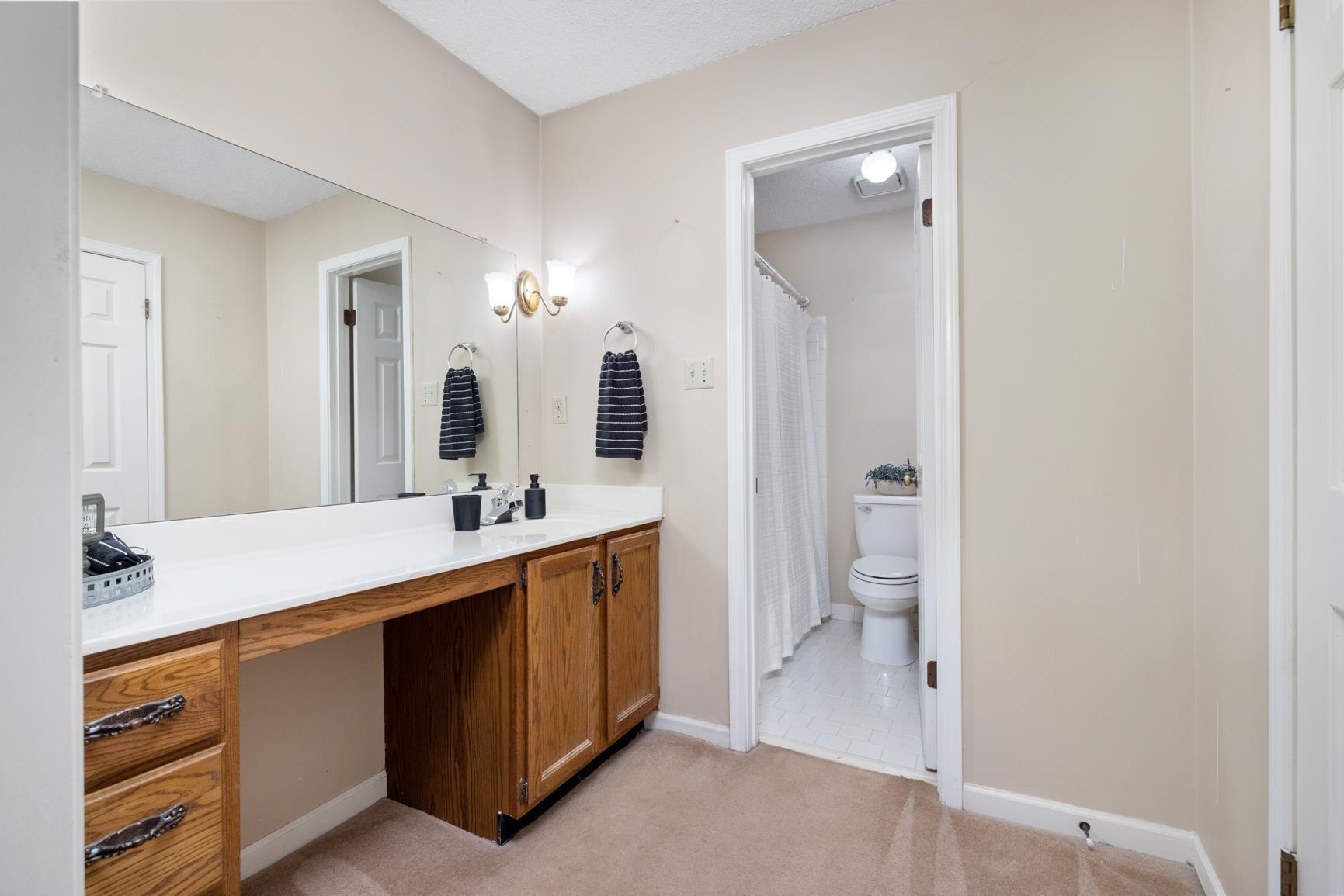 5015 Eagles Nest Lane Bartlett, TN 38002 - Photo 27 of 39 Bathroom with vanity and toilet