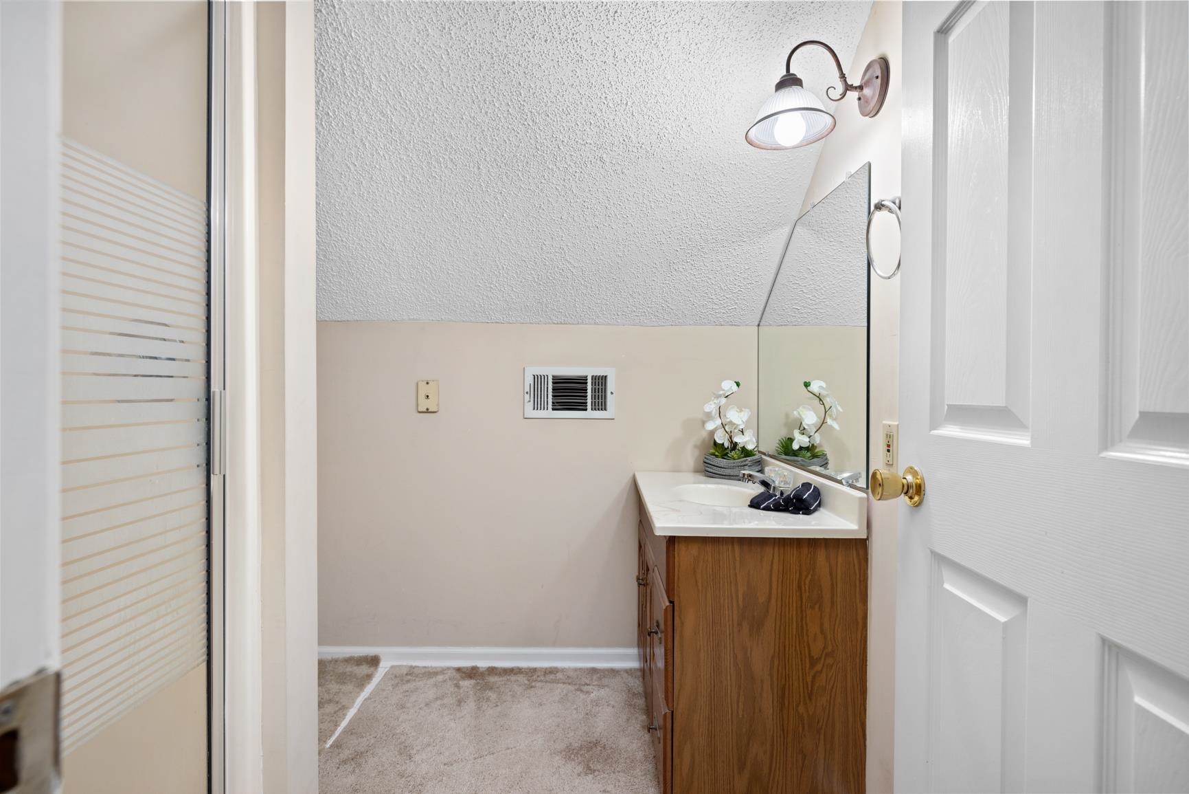 5015 Eagles Nest Lane Bartlett, TN 38002 - Photo 30 of 39 Bathroom with vanity, a textured ceiling, and vaulted ceiling