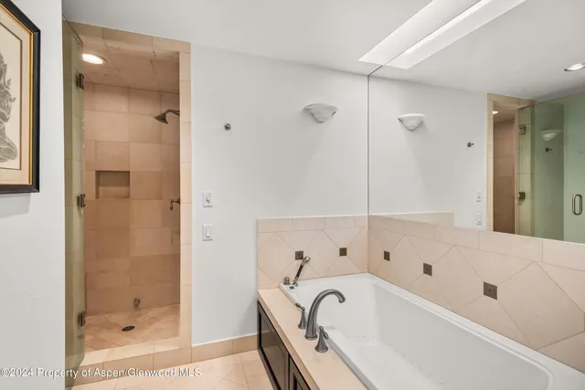 a bathroom with a bathtub and a shower