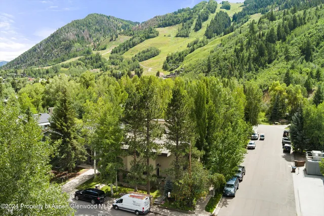a view of a city with lush green forest
