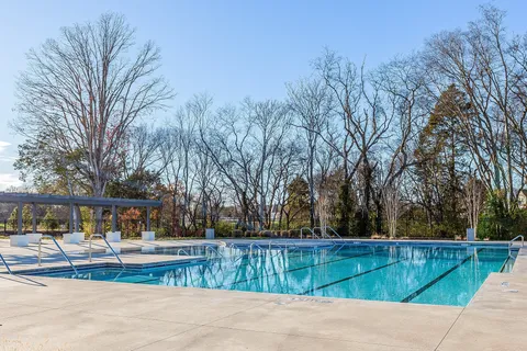 a view of backyard with large trees and a wooden fence
