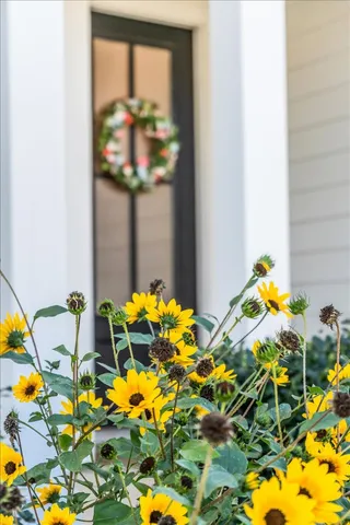 a view of a house with potted plants and a bench