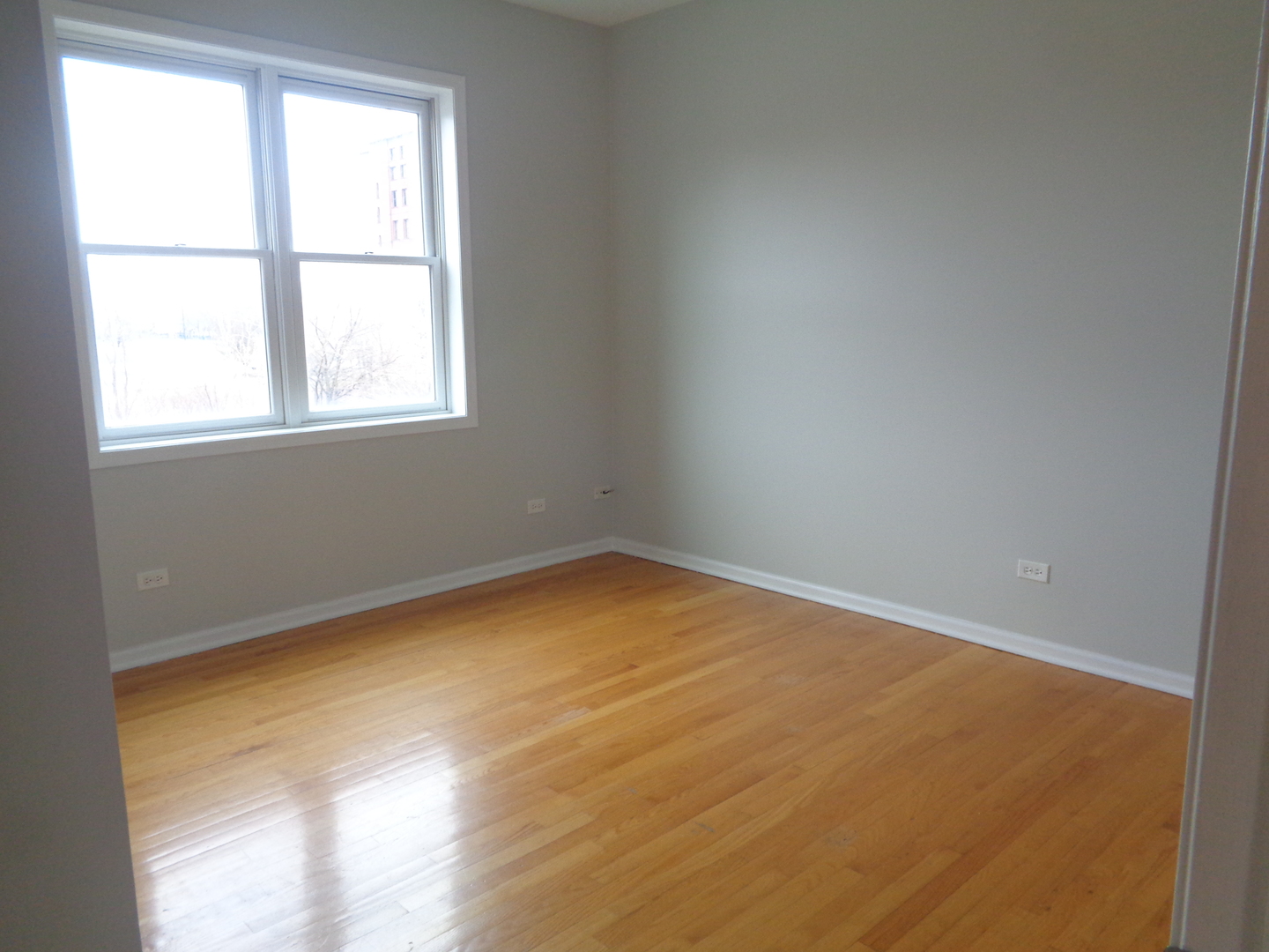 641 East Pershing Road, Unit 101 Chicago, IL 60653 - Photo 12 of 19