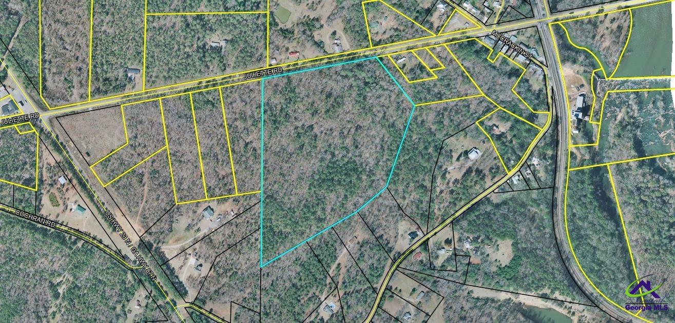 0 Juliette Road Forsyth, GA 31029 - Photo 3 of 3