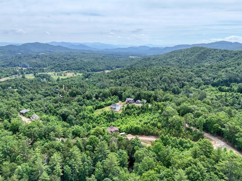 604 Point Overlook Trail Murphy, NC 28906 - Photo 48 of 58