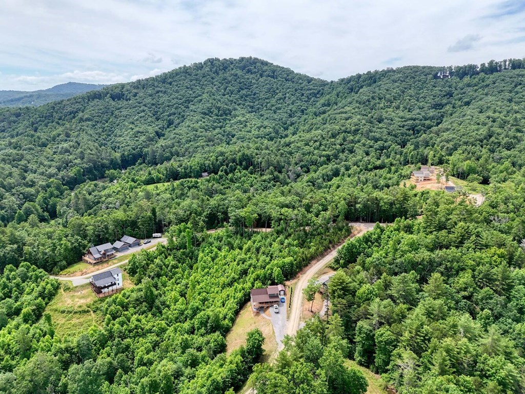 604 Point Overlook Trail Murphy, NC 28906 - Photo 49 of 58