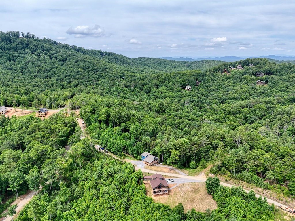 604 Point Overlook Trail Murphy, NC 28906 - Photo 50 of 58