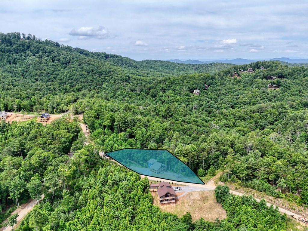 604 Point Overlook Trail Murphy, NC 28906 - Photo 51 of 58