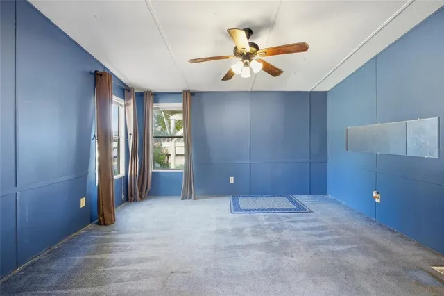 a view of a park with large trees