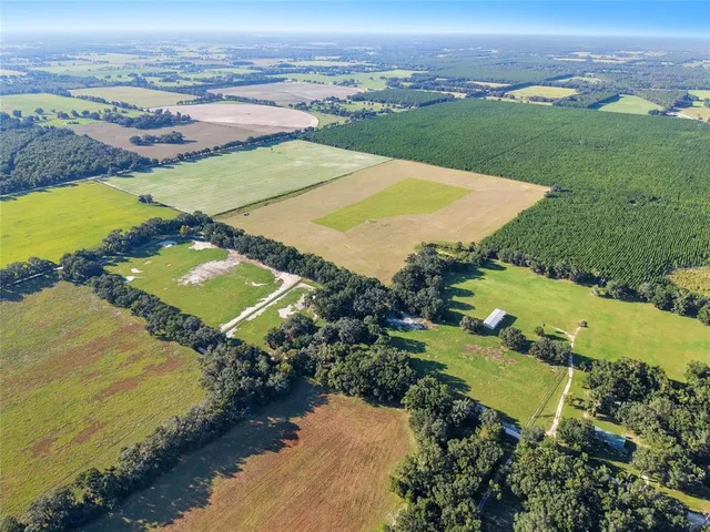 a view of a park with large trees
