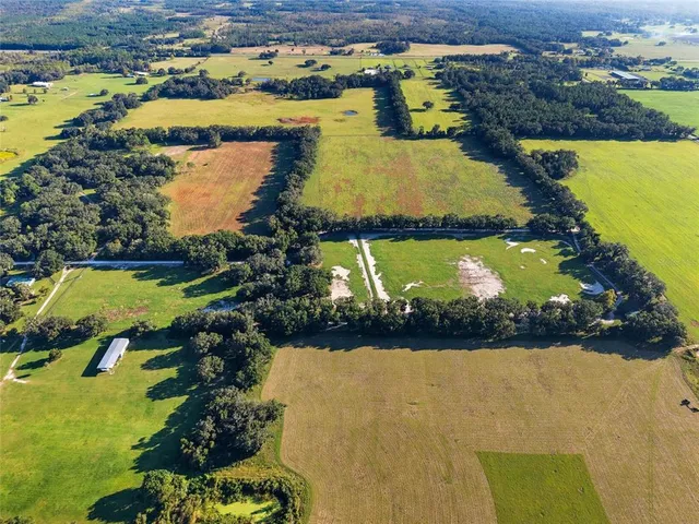 a view of a park with large trees