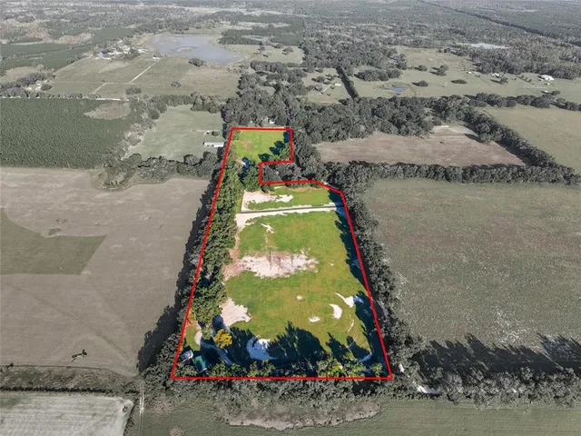 a view of outdoor space with garden and trees