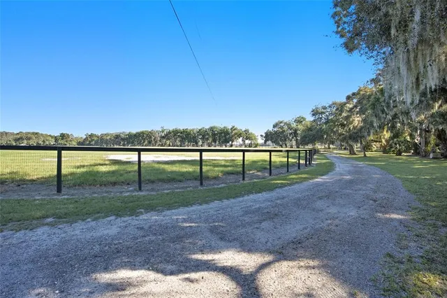a view of a park with large trees