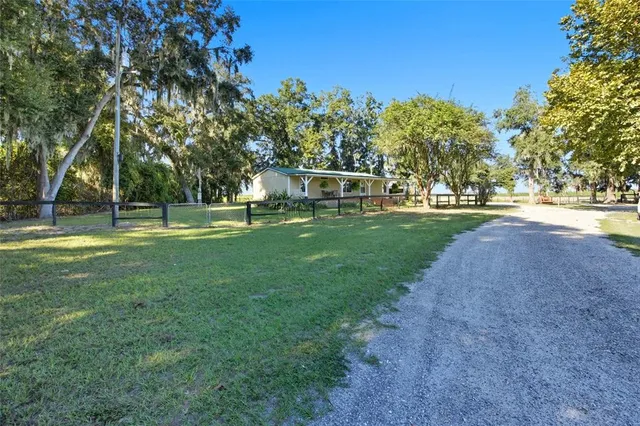 a view of park with large trees