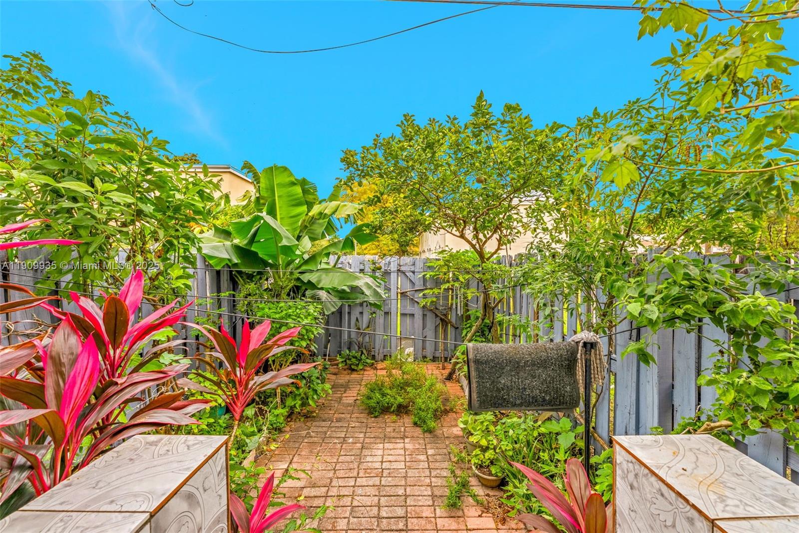 427 Northwest 84th Terrace, Unit 427 Miami, FL 33150 - Photo 19 of 40 a view of a backyard with potted plants and large tree