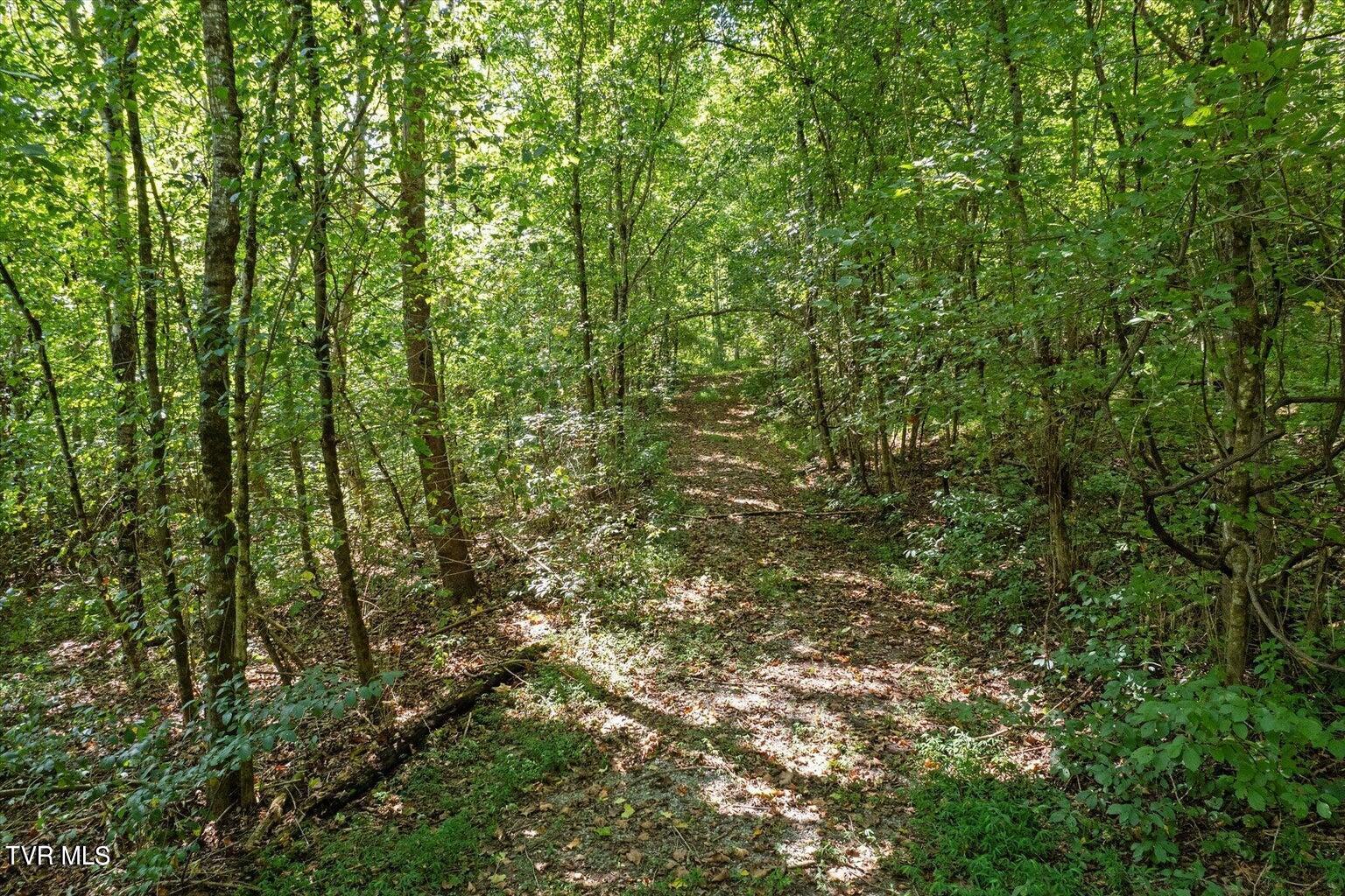 Tbd North Fork River Road, Unit 3 Abingdon, VA 24210 - Photo 22 of 34 *