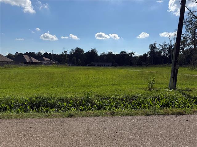 41525 Yokum Road Ponchatoula, LA 70454 - Photo 2 of 3