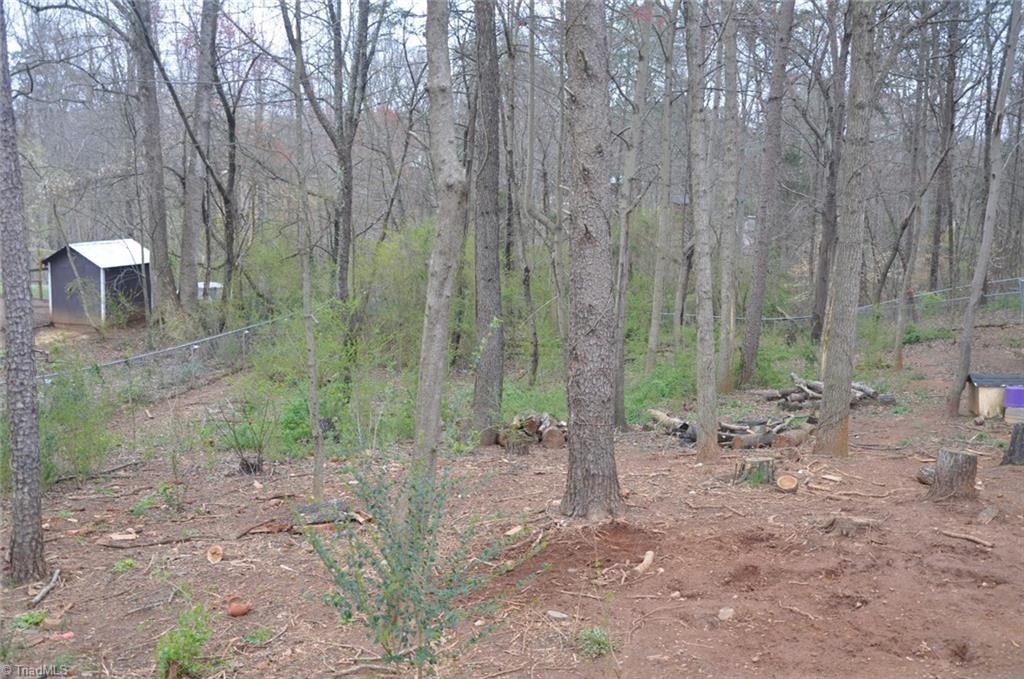 730 Cook Road Rural Hall, NC 27045 - Photo 20 of 20