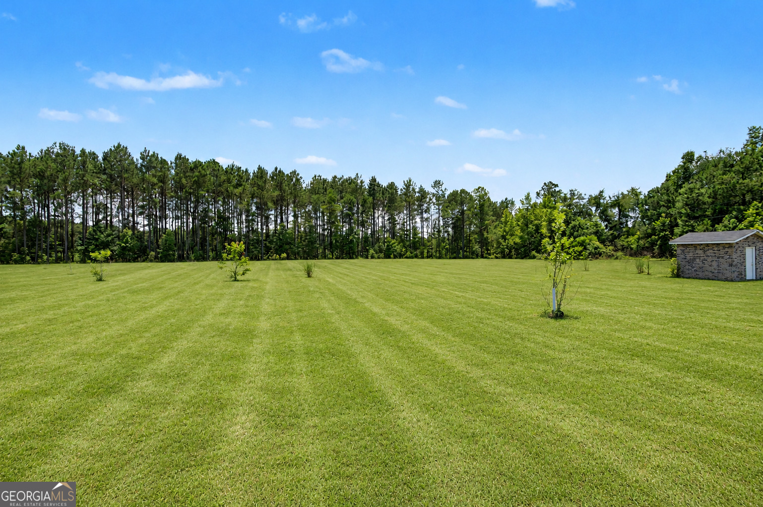 2023 Hiltonia Road Millen, GA 30442 - Photo 29 of 30