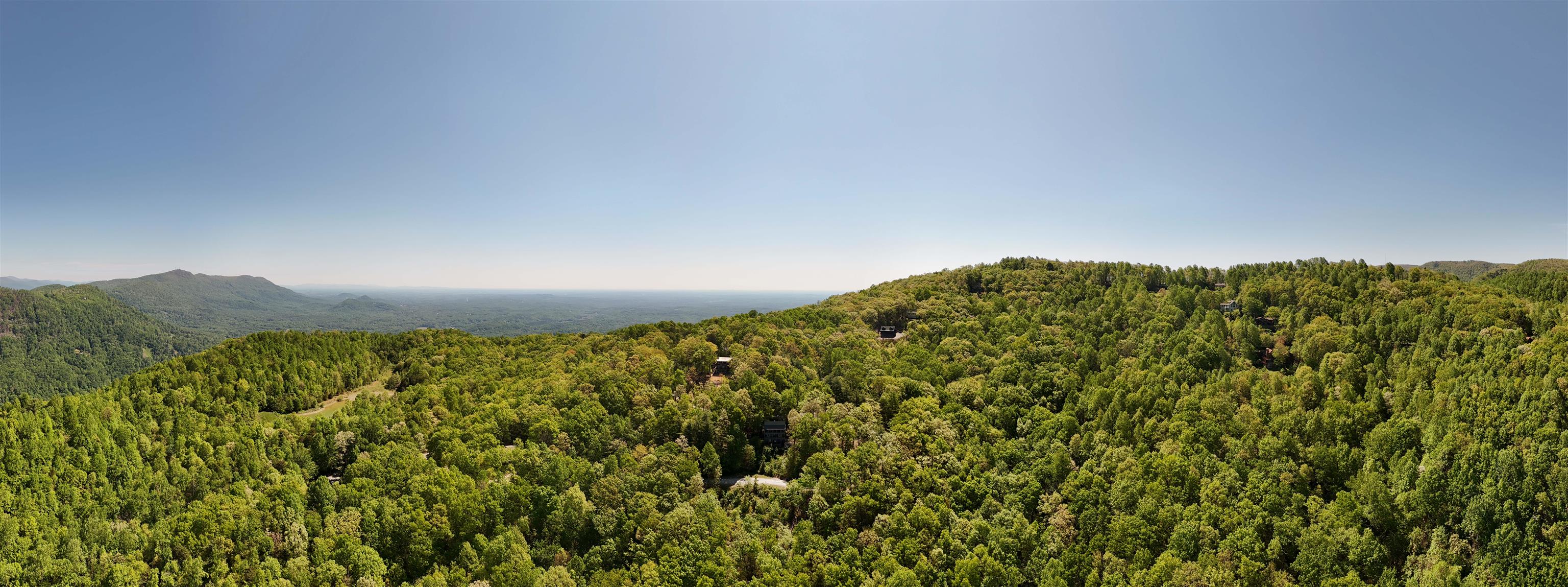 25 Little Falls Drive Tryon, NC 28782 - Photo 11 of 50