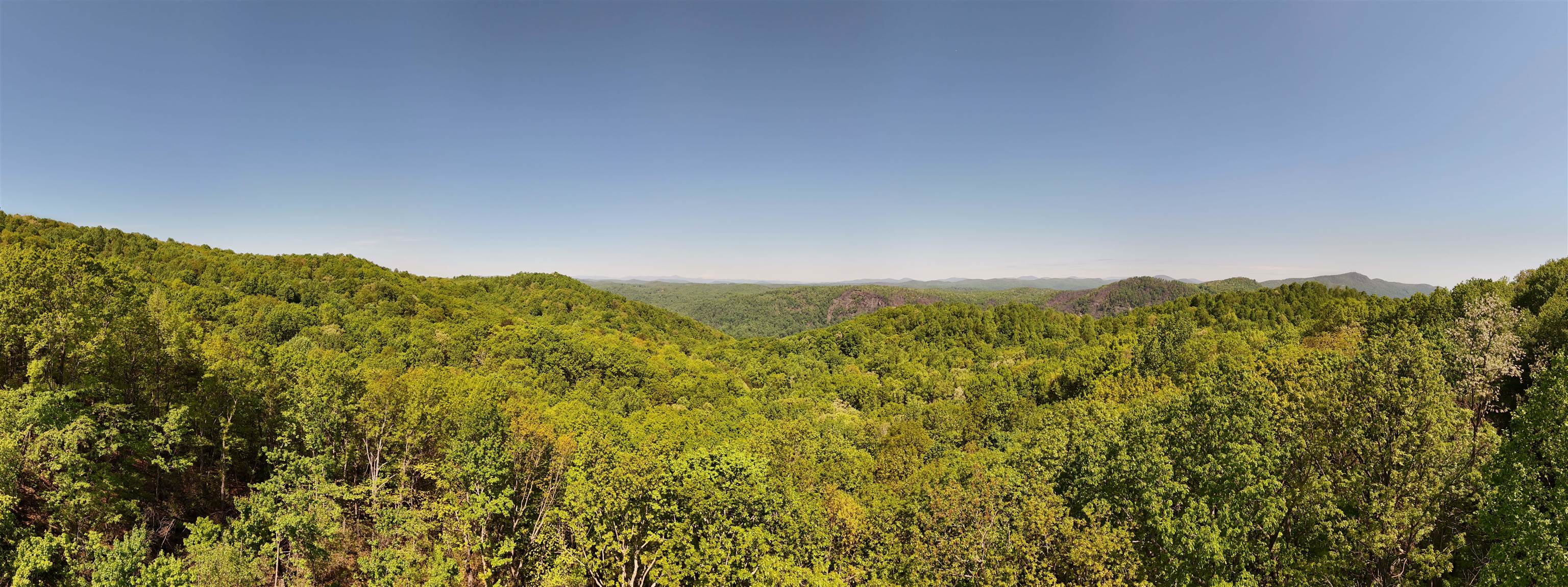 25 Little Falls Drive Tryon, NC 28782 - Photo 46 of 50