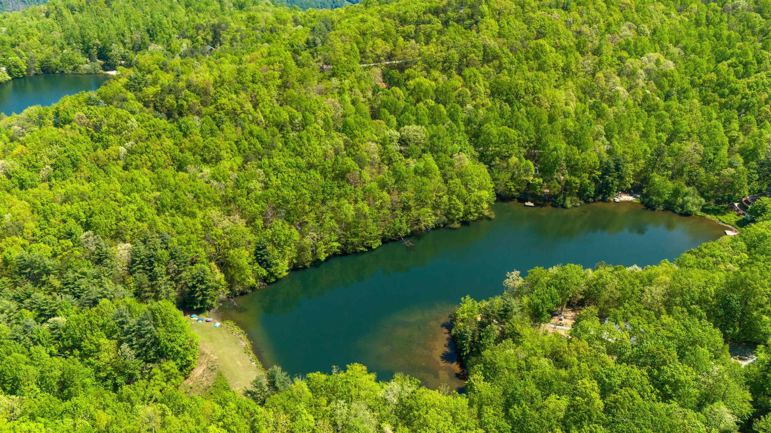 25 Little Falls Drive Tryon, NC 28782 - Photo 47 of 50