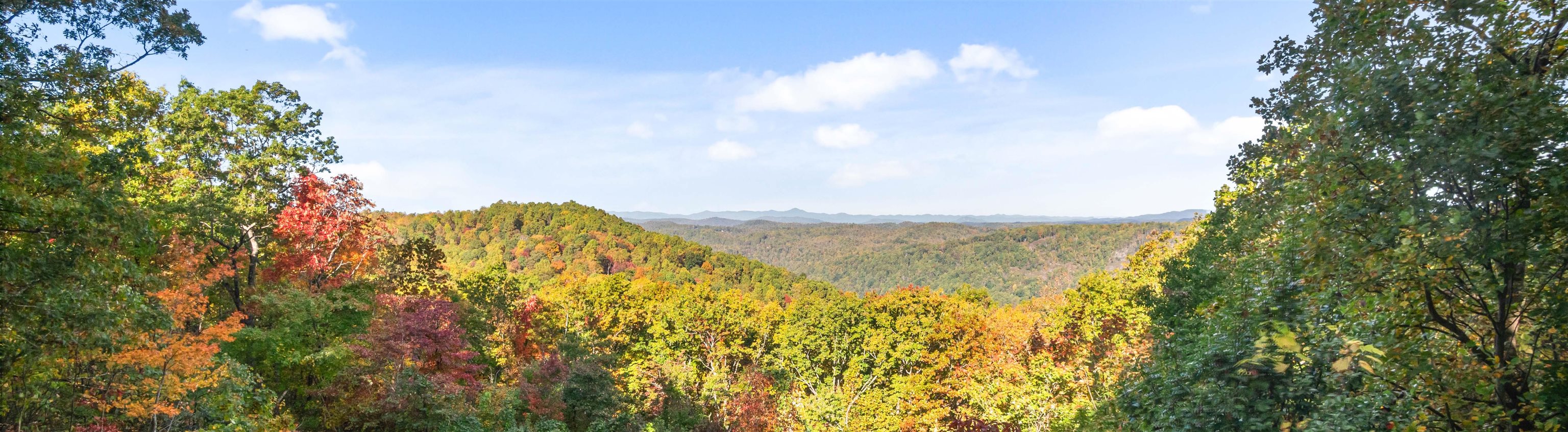 25 Little Falls Drive Tryon, NC 28782 - Photo 50 of 50