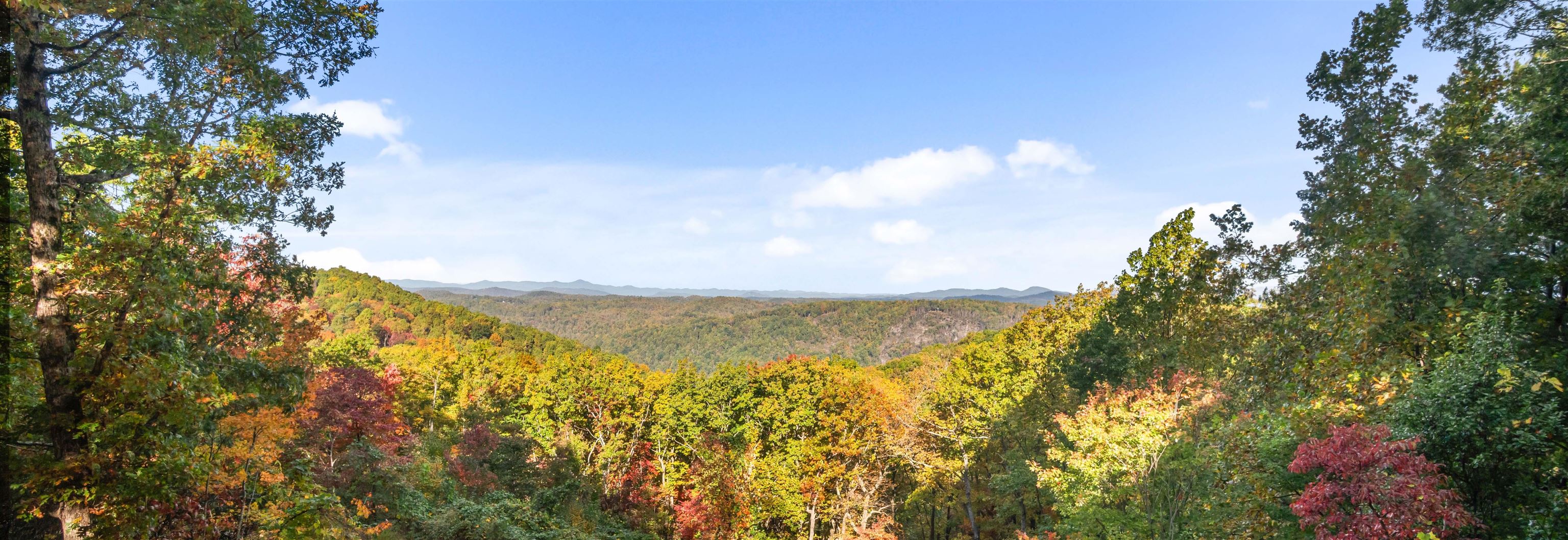 25 Little Falls Drive Tryon, NC 28782 - Photo 5 of 50