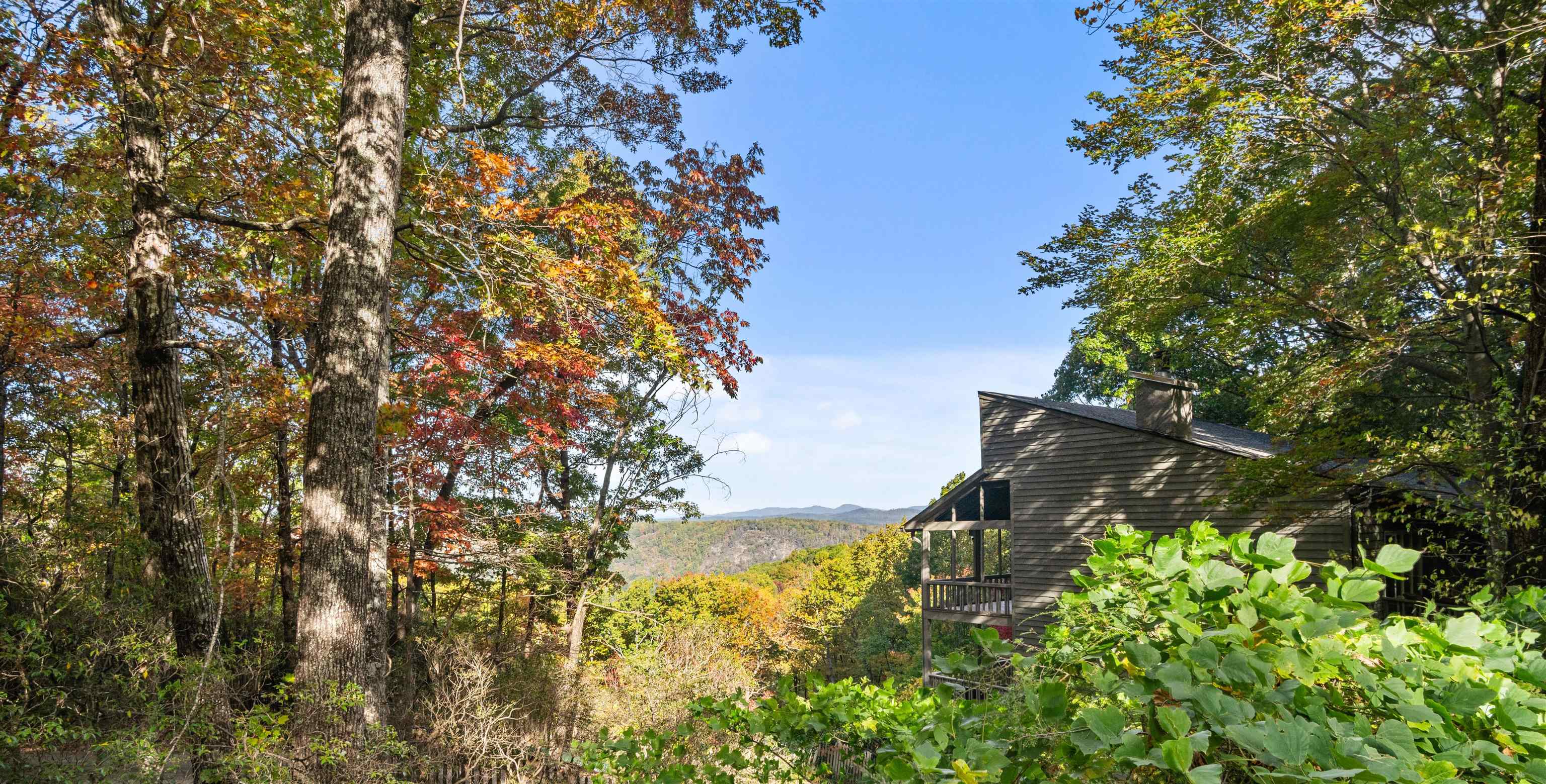 25 Little Falls Drive Tryon, NC 28782 - Photo 9 of 50