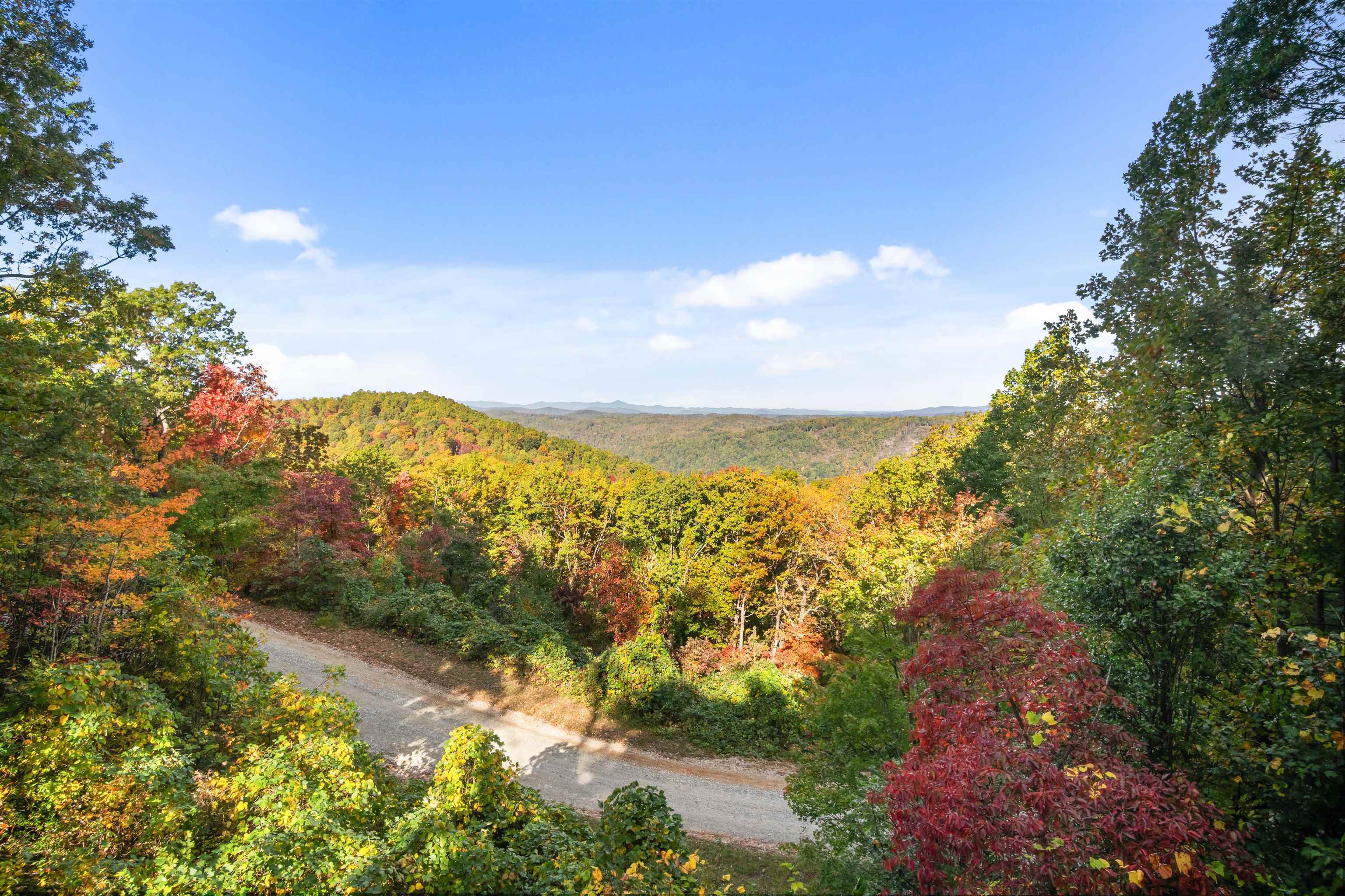 25 Little Falls Drive Tryon, NC 28782 - Photo 10 of 50