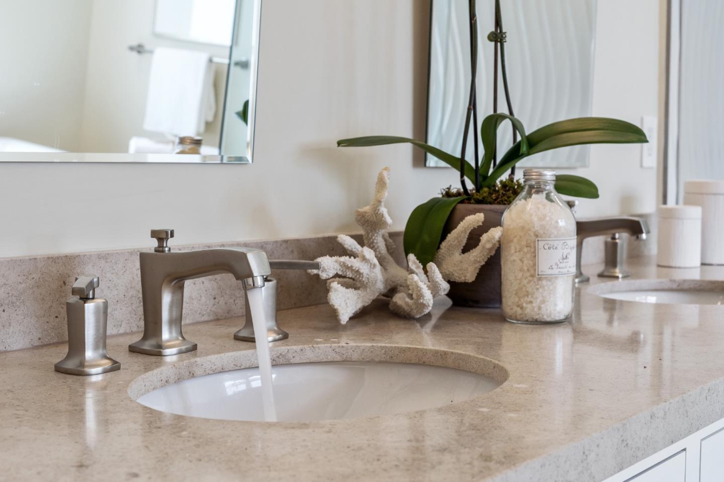 115 Occidental Avenue Burlingame, CA 94010 - Photo 37 of 50 a closeup of a sink with a potted plant on it