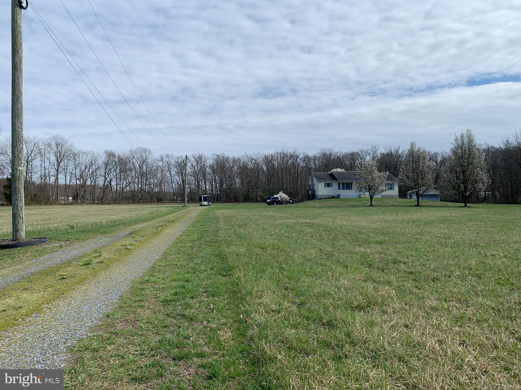 321 Beasley Neck Road Salem, NJ 08079 - Photo 3 of 79