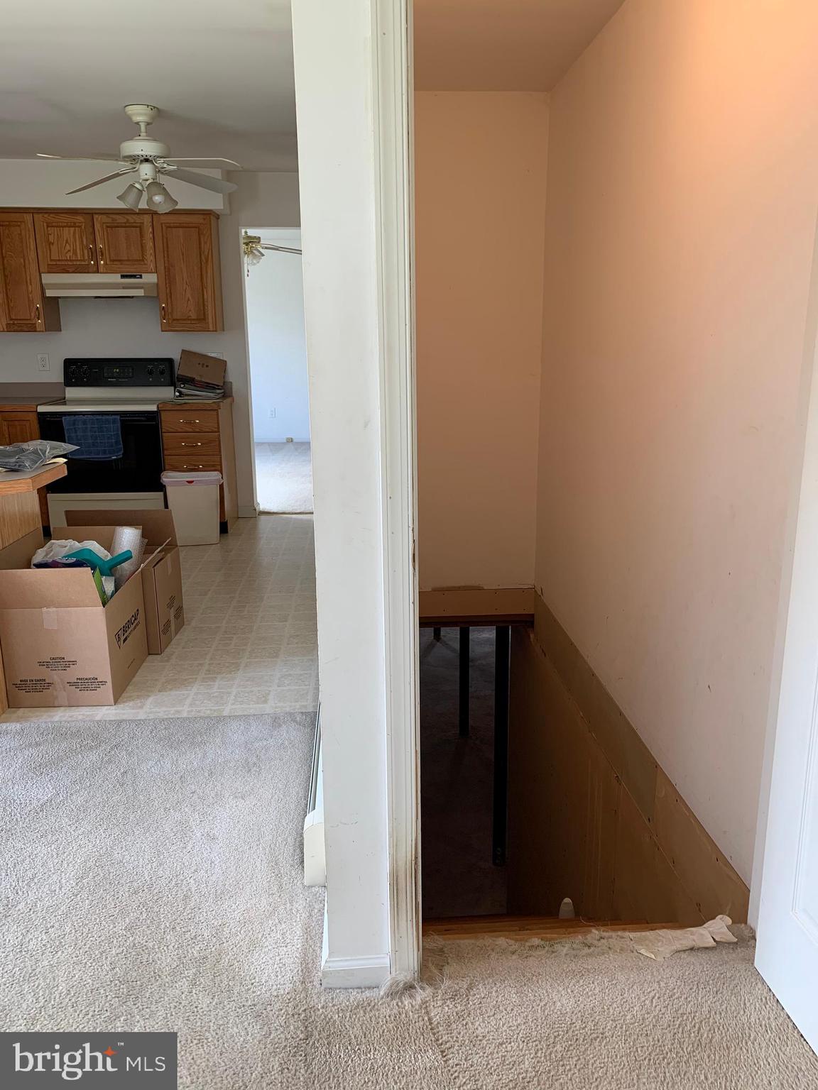 321 Beasley Neck Road Salem, NJ 08079 - Photo 54 of 79 access to basement