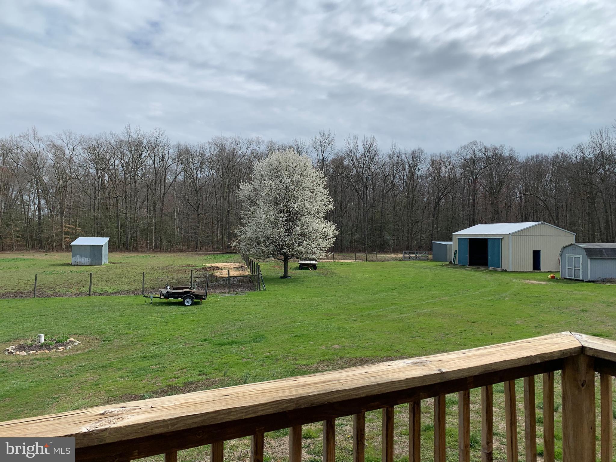 321 Beasley Neck Road Salem, NJ 08079 - Photo 65 of 79 View from back porch