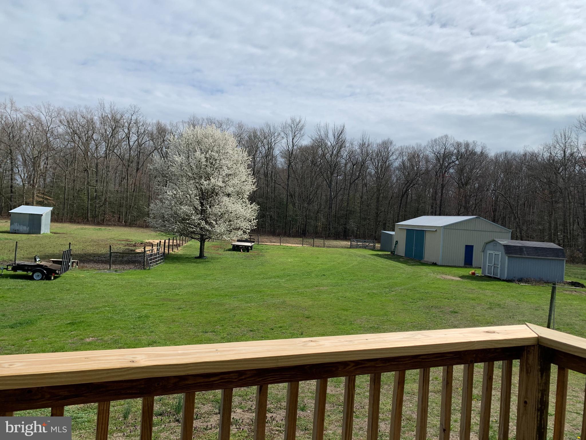 321 Beasley Neck Road Salem, NJ 08079 - Photo 67 of 79 view fom back porch