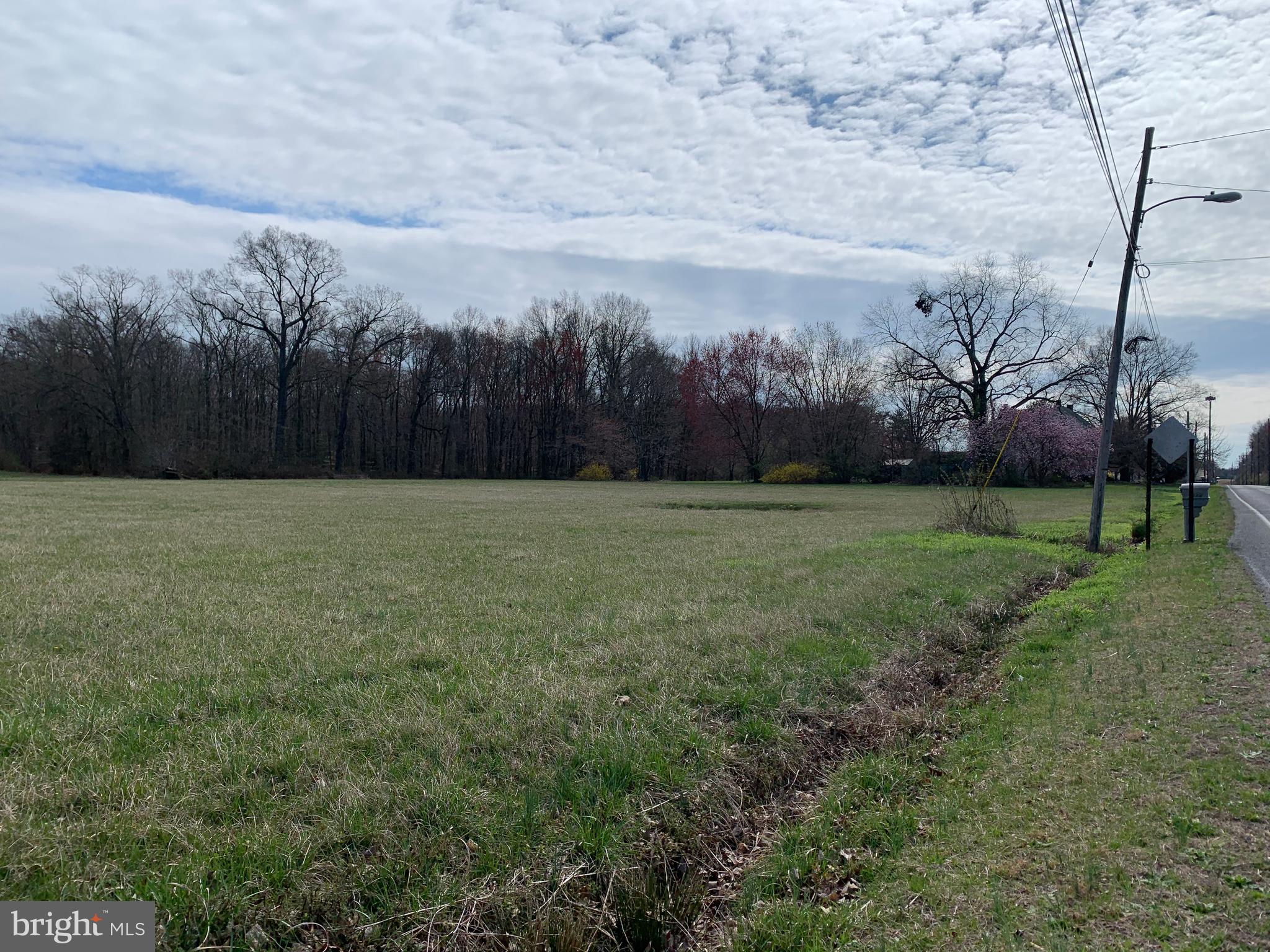 321 Beasley Neck Road Salem, NJ 08079 - Photo 77 of 79 roadfront