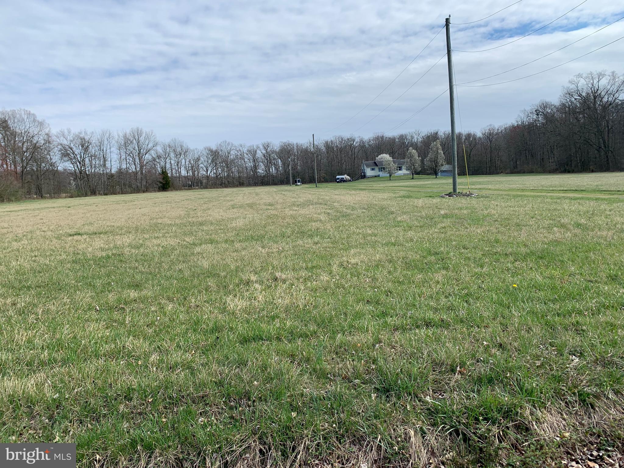 321 Beasley Neck Road Salem, NJ 08079 - Photo 78 of 79 view from road