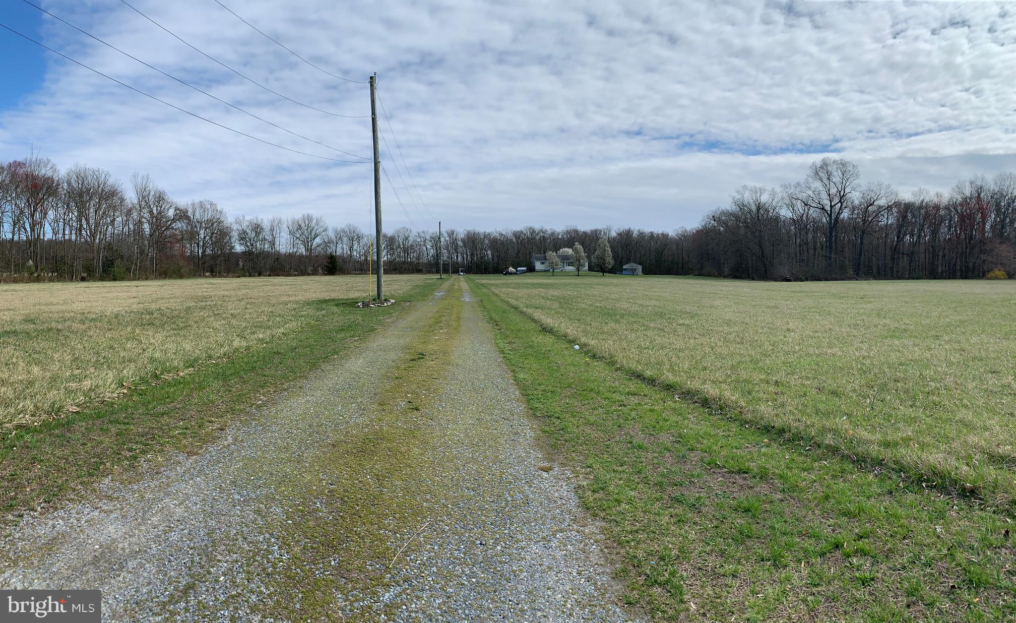 321 Beasley Neck Road Salem, NJ 08079 - Photo 79 of 79 view from driveway/road