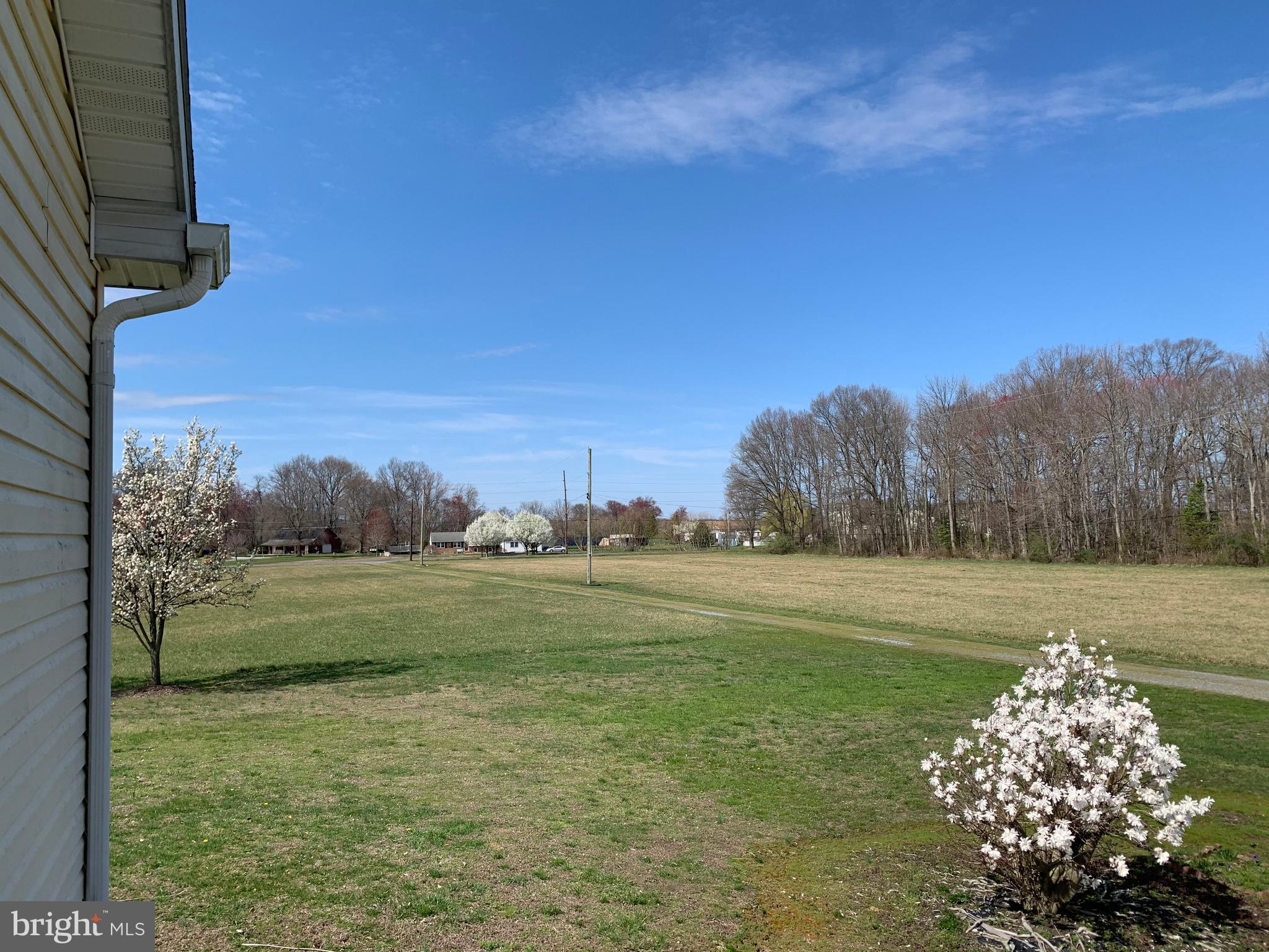 321 Beasley Neck Road Salem, NJ 08079 - Photo 9 of 79