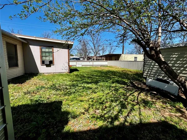 a view of a yard with plants and large trees